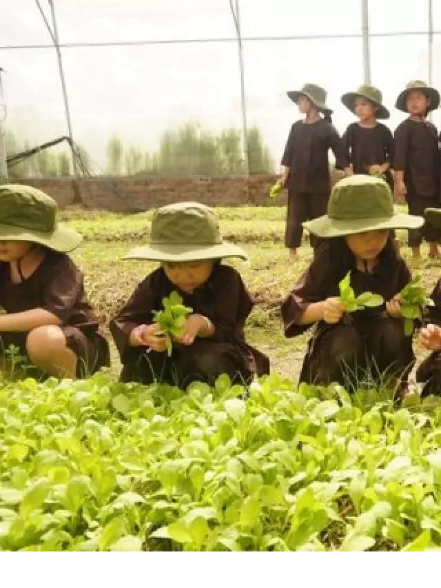   Happy Farm - Trải nghiệm vui vẻ tại nông trại