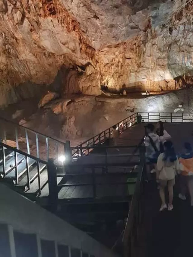   Tour Động Thiên Đường – Động Phong Nha 1 Ngày: Khám phá Vẻ Đẹp Huyền Bí